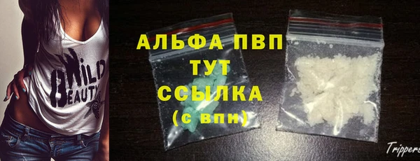 гидра Алексеевка