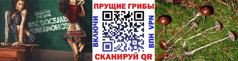 Галлюциногенные грибы мухоморы Лаишево